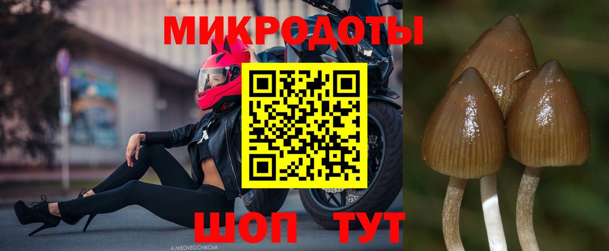 Псилоцибиновые грибы GOLDEN TEACHER Барнаул