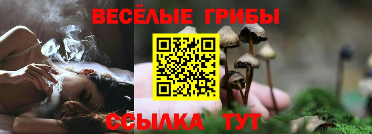 Псилоцибиновые грибы мицелий  Вход с VPN  Барнаул 